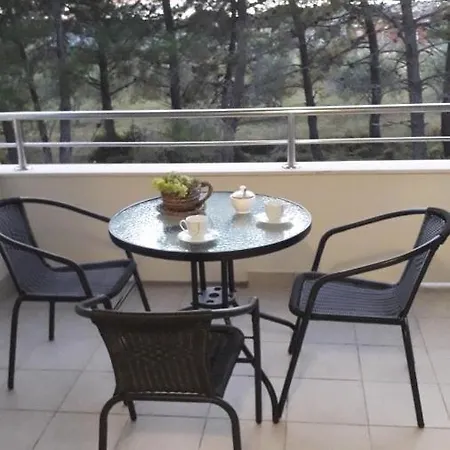 Apartment 4494