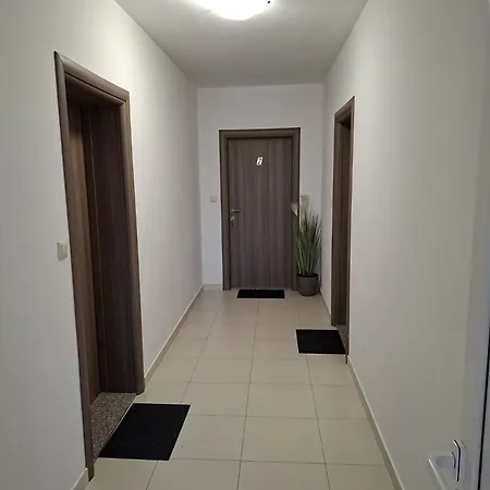 4494 * Vrsi